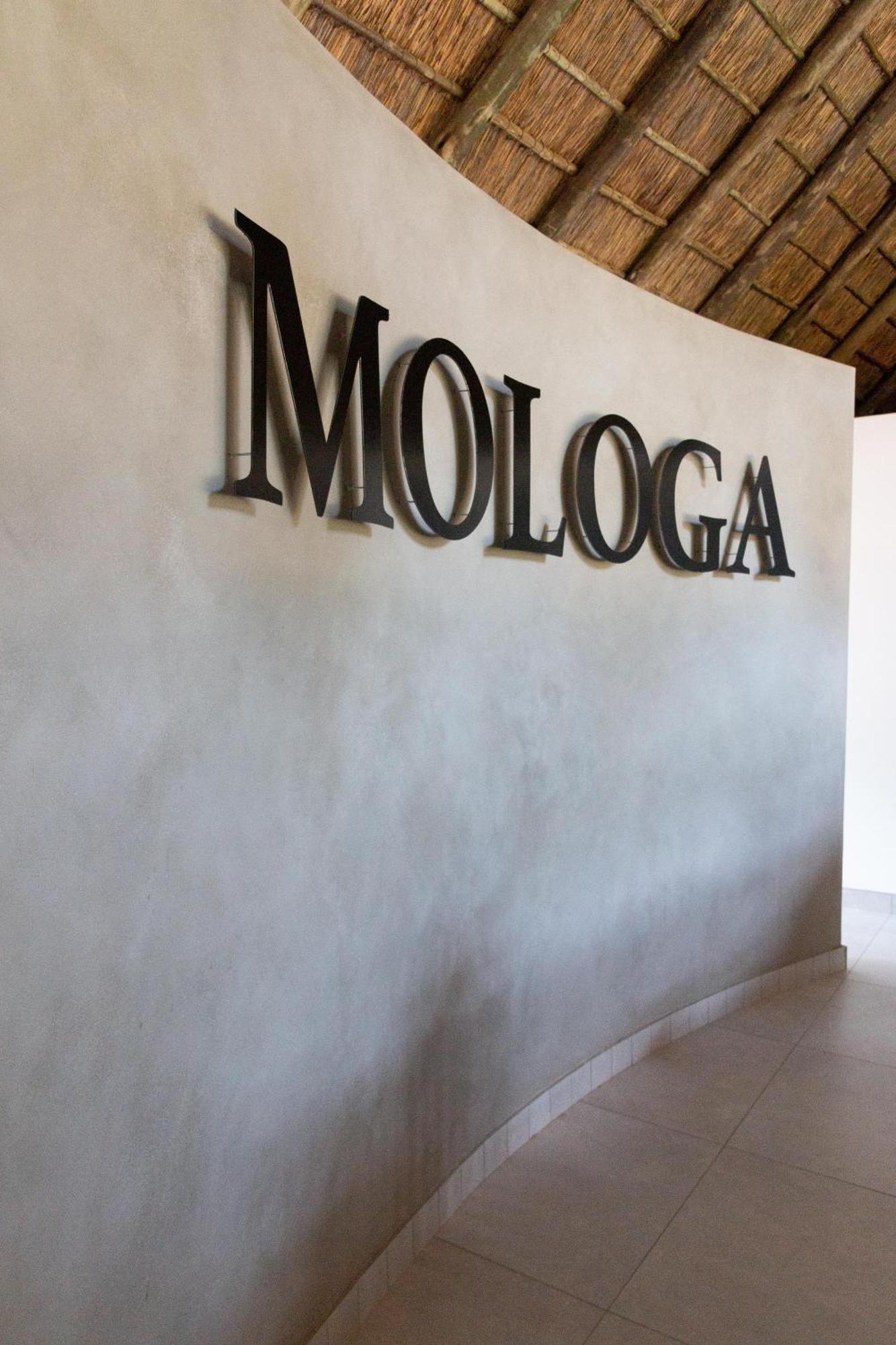 Mologa River Lodge Rust de Winter Esterno foto